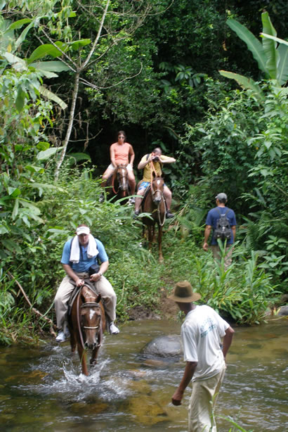 Horseback riding