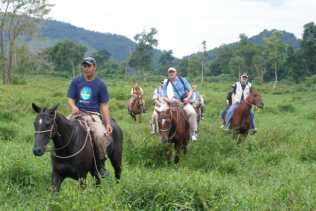 Horseback riding