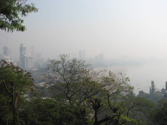 Looking at the city